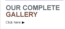 Our Complete Gallery